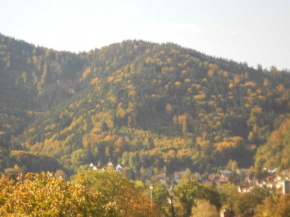 Quartier 1 Freiburg Im Breisgau